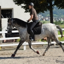 Reitkurs mit Desmond O’Brien - 2012