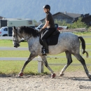 Reitkurs mit Desmond O’Brien - 2012