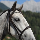 Reitkurs mit Desmond O’Brien - 2012