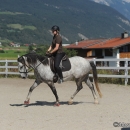 Reitkurs mit Desmond O’Brien - 2012