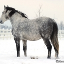 Winter 2012
