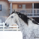 Winter 2012