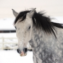 Winter 2012