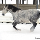 Winter 2012