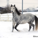 Winter 2012