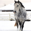 Winter 2012