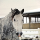 Winter 2012