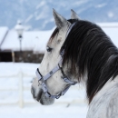 Winter 2012