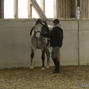Barockes Reiten mit Richard Hinrichs - März 2013