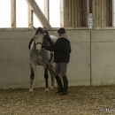 Barockes Reiten mit Richard Hinrichs - März 2013