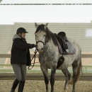 Barockes Reiten mit Richard Hinrichs - März 2013