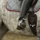 Barockes Reiten mit Richard Hinrichs - März 2013