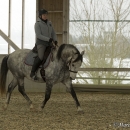 Barockes Reiten mit Richard Hinrichs - März 2013