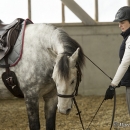 Barockes Reiten mit Richard Hinrichs - März 2013