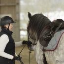 Barockes Reiten mit Richard Hinrichs - März 2013