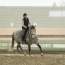 Barockes Reiten mit Richard Hinrichs - März 2013