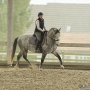 Barockes Reiten mit Richard Hinrichs - März 2013