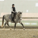 Barockes Reiten mit Richard Hinrichs - März 2013