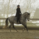 Barockes Reiten mit Richard Hinrichs - März 2013