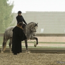 Barockes Reiten mit Richard Hinrichs - März 2013