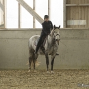 Barockes Reiten mit Richard Hinrichs - März 2013