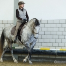Reitkurs Ruth Giffels Mai 2013