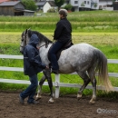 Reitkurs mit Desmond OBrien - Juni 2013