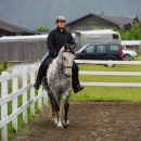 Reitkurs mit Desmond OBrien - Juni 2013