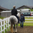 Reitkurs mit Desmond OBrien - Juni 2013