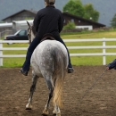 Reitkurs mit Desmond OBrien - Juni 2013