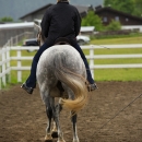 Reitkurs mit Desmond OBrien - Juni 2013