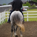 Reitkurs mit Desmond OBrien - Juni 2013