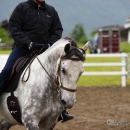 Reitkurs mit Desmond OBrien - Juni 2013