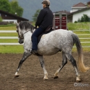 Reitkurs mit Desmond OBrien - Juni 2013