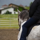 Reitkurs mit Desmond OBrien - Juni 2013