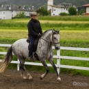Reitkurs mit Desmond OBrien - Juni 2013