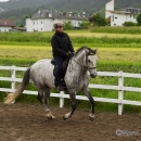 Reitkurs mit Desmond OBrien - Juni 2013