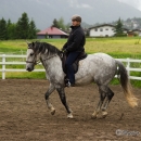 Reitkurs mit Desmond OBrien - Juni 2013