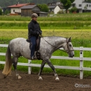 Reitkurs mit Desmond OBrien - Juni 2013