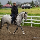 Reitkurs mit Desmond OBrien - Juni 2013