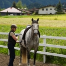 Reitkurs mit Desmond OBrien - Juni 2013