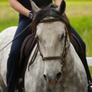 Reitkurs mit Desmond OBrien - Juni 2013