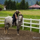 Reitkurs mit Desmond OBrien - Juni 2013