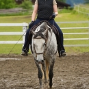 Reitkurs mit Desmond OBrien - Juni 2013