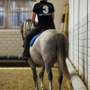 Reitkurs Ruth Giffels August 2013