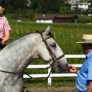 Reitkurs mit Desmond OBrien - September 2013