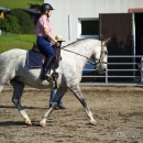 Reitkurs mit Desmond OBrien - September 2013
