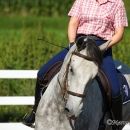 Reitkurs mit Desmond OBrien - September 2013