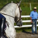 Reitkurs mit Desmond OBrien - September 2013