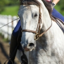 Reitkurs mit Desmond OBrien - September 2013